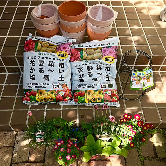 butachanさんの実例写真