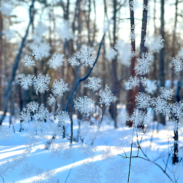 Kikko.さんの部屋