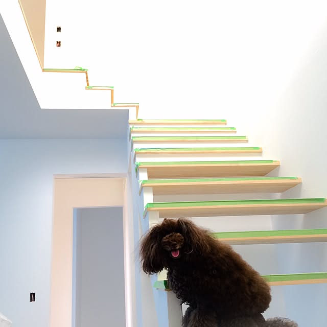 Hiromさんの実例写真