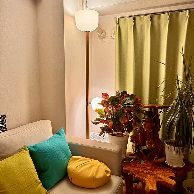 dadarikaさんの部屋