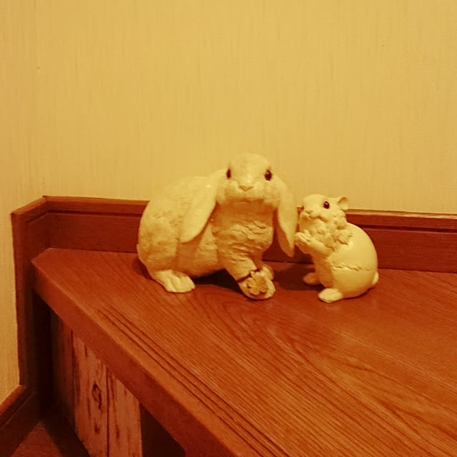 sakurakoさんの実例写真