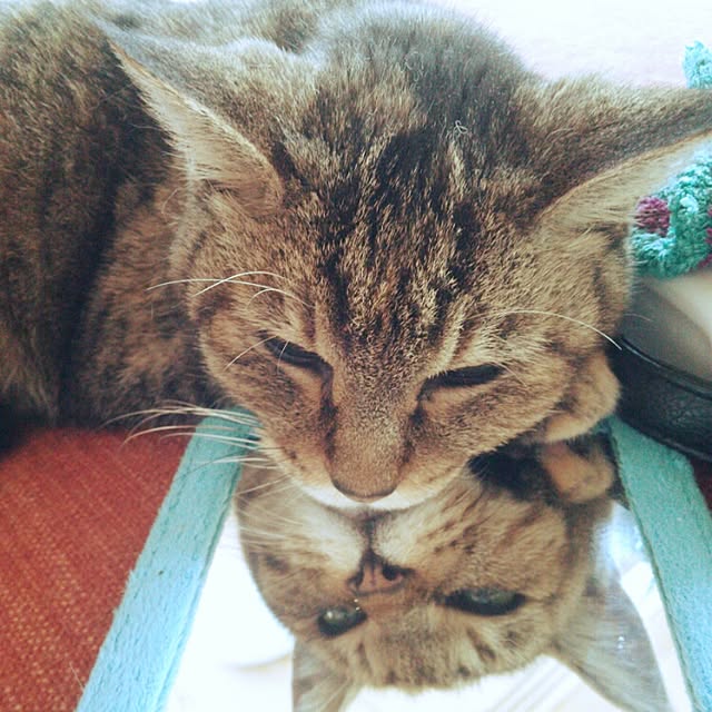 k.namiさんの実例写真