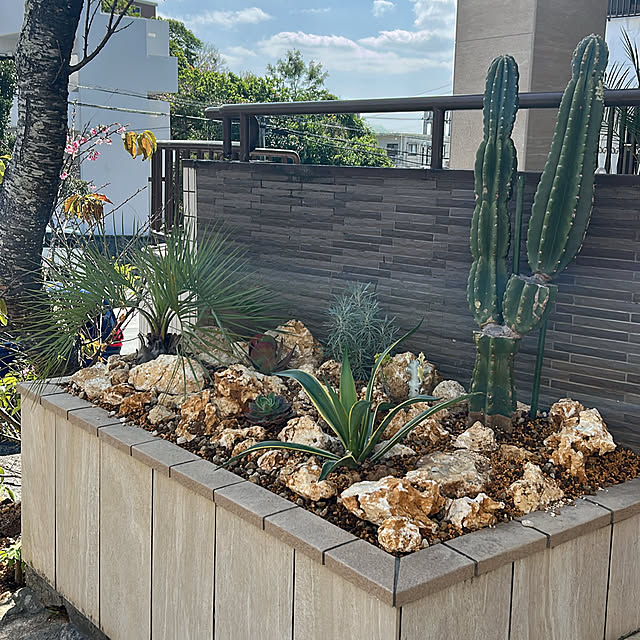 yuipyappさんの実例写真