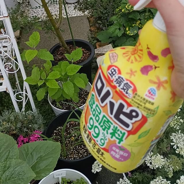 aiさんの実例写真