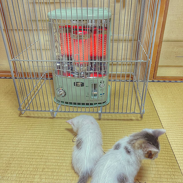 youさんの実例写真