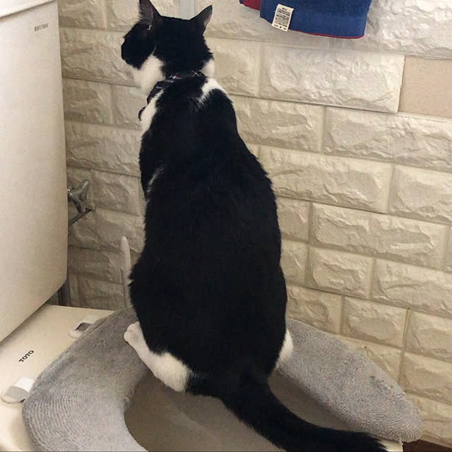 mikitty0905さんの実例写真