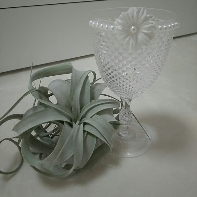 ...t_m_eee...さんの実例写真