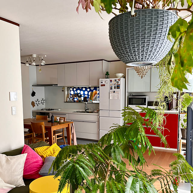 65-24oxoさんの実例写真