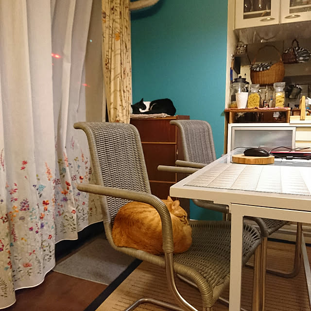 okyosan101さんの実例写真