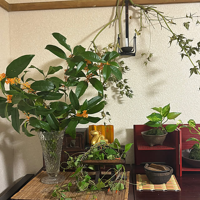 syutmmさんの部屋