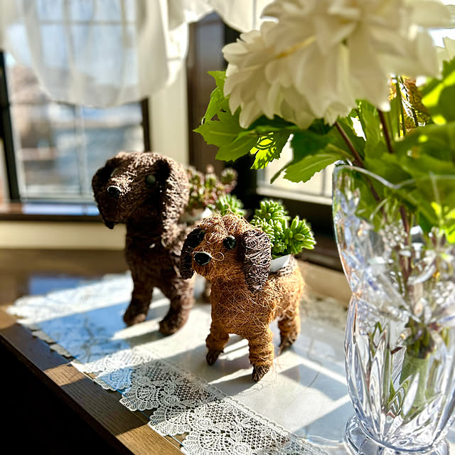 koha_hahahaさんの実例写真