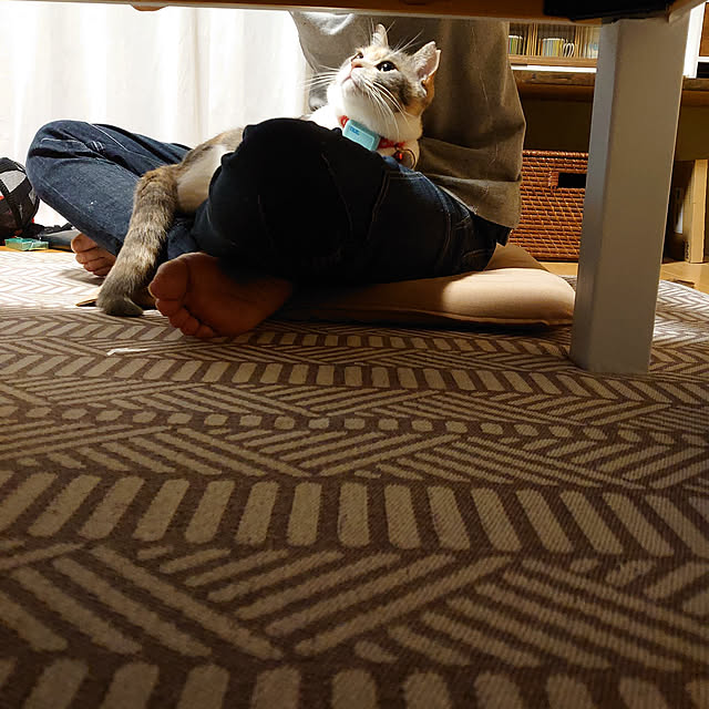 fukuさんの実例写真