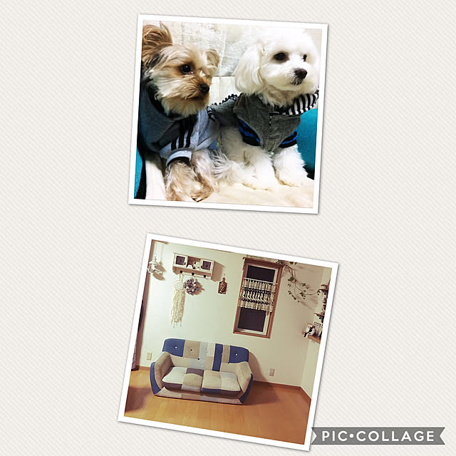 marcheさんの実例写真