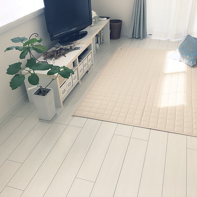 Yukiさんの実例写真