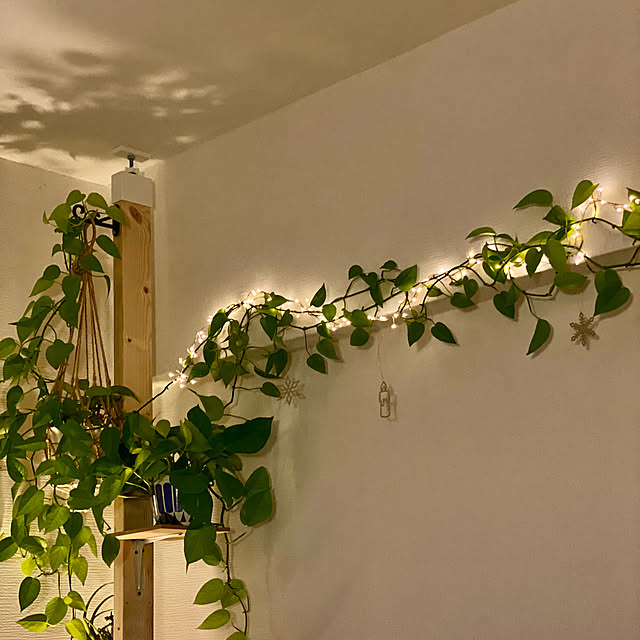 gurigura.tさんの部屋