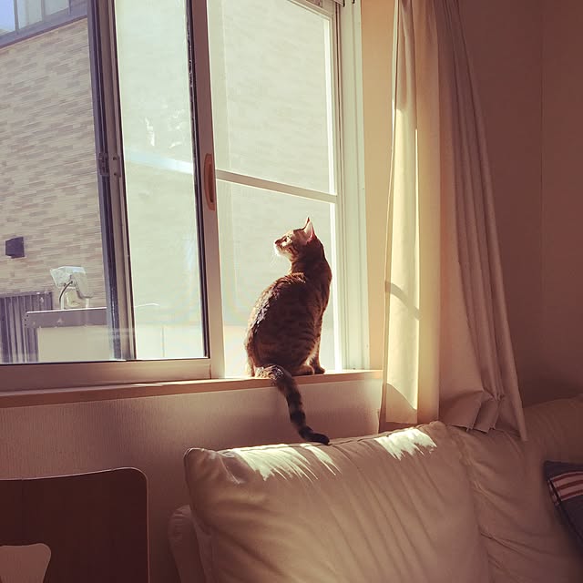 juriさんの実例写真
