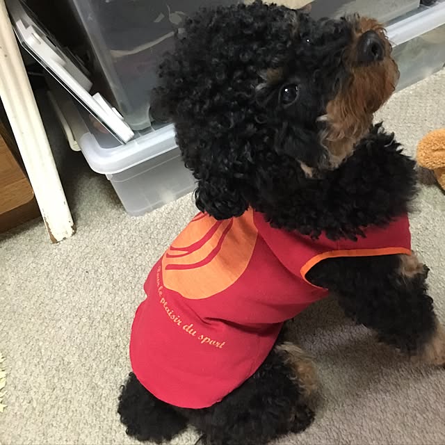 bussammamaさんの実例写真