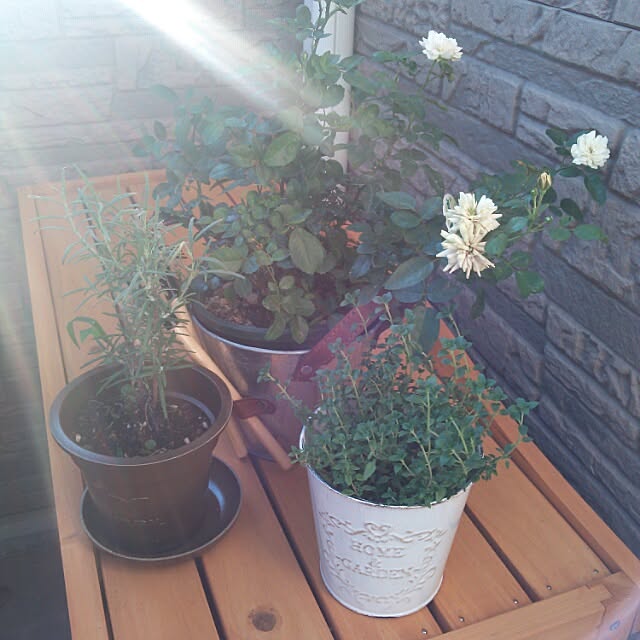 springさんの実例写真