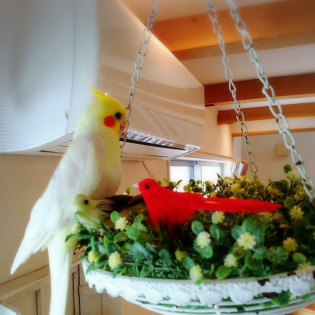 keikorinさんの実例写真