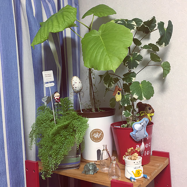 takakoさんの実例写真