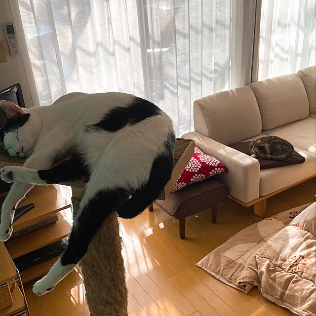 nobikoさんの実例写真
