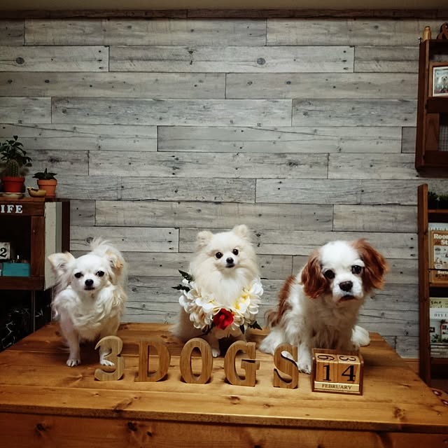 yukaさんの実例写真