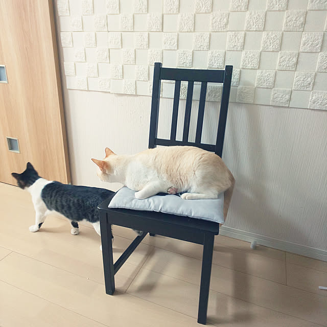 部屋全体のインテリア実例 - 2020-07-09 12:33:38
