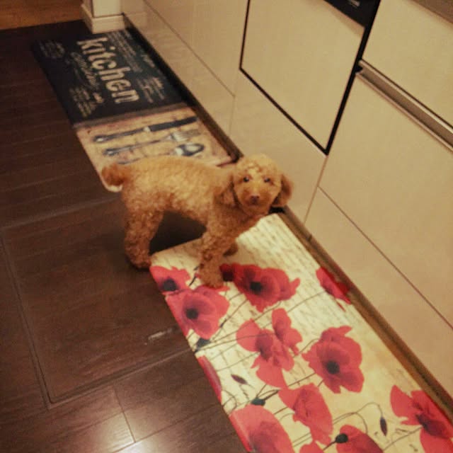 Ryokoさんの実例写真
