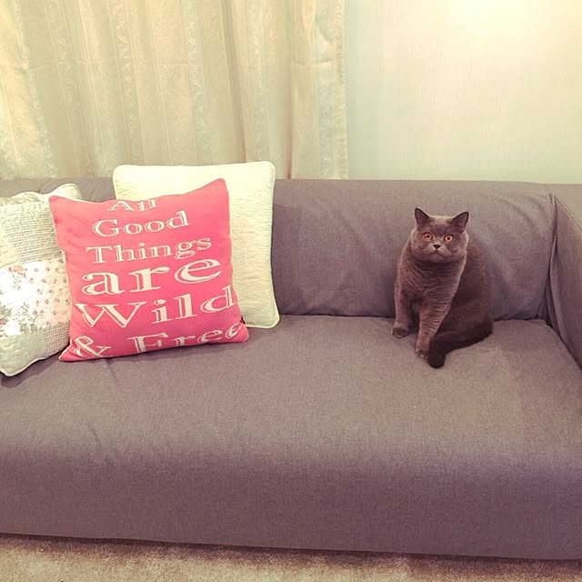 mami1219さんの実例写真