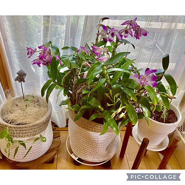CoCo0617さんの部屋