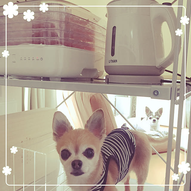 Emiさんの実例写真