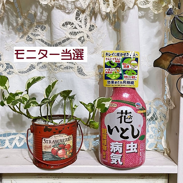 majoさんの実例写真