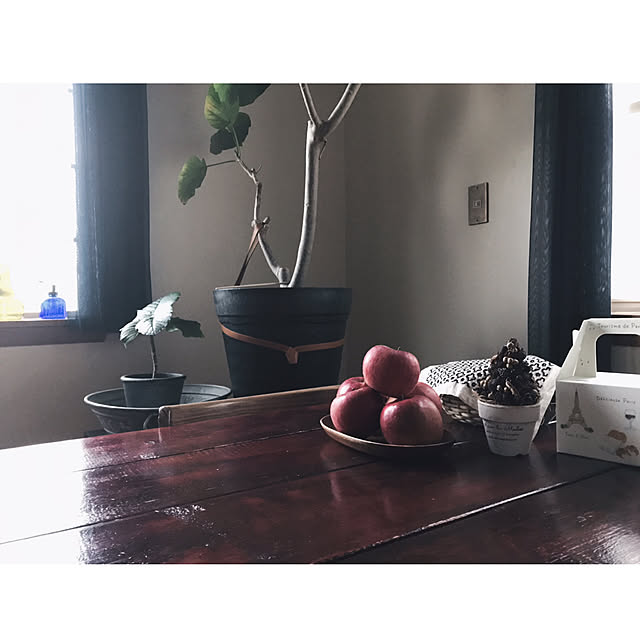 kinu-itoさんの実例写真