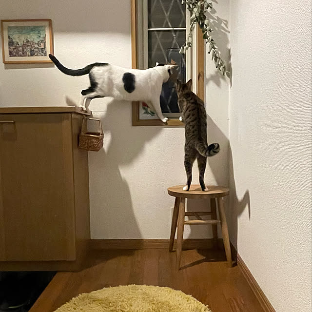 nobikoさんの実例写真