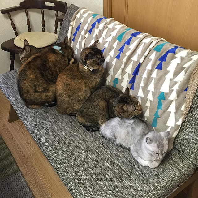 paipan720さんの実例写真