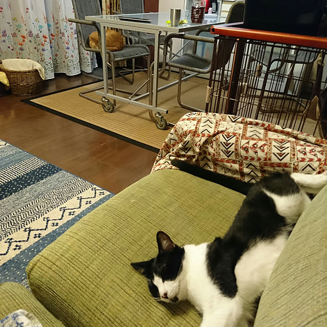 okyosan101さんの実例写真