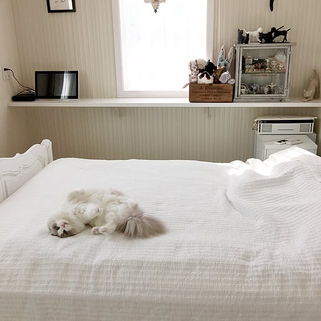 yuchiさんの実例写真