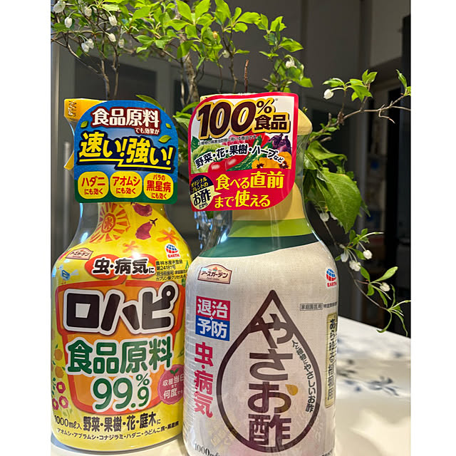 syutmmさんの実例写真