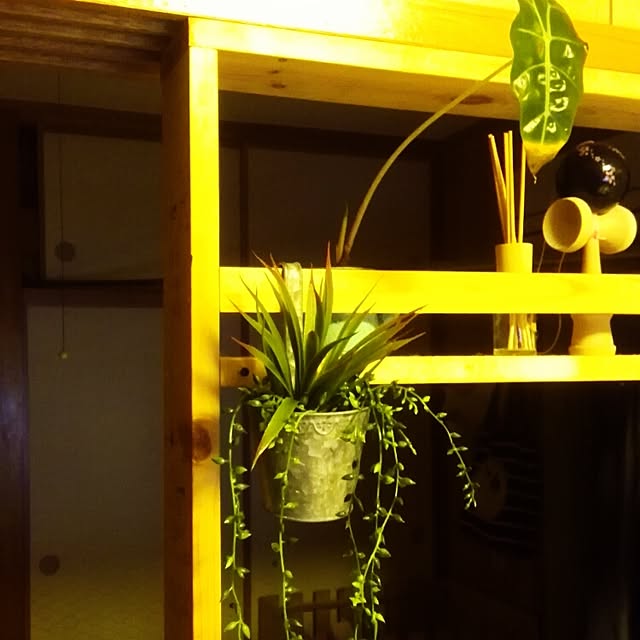 chanplesさんの実例写真