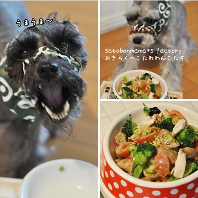 satobonmamaさんの実例写真