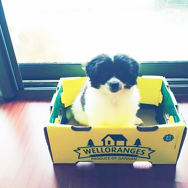 MARIさんの実例写真