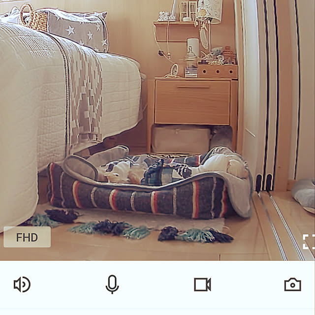 loliontoaliceveさんの実例写真