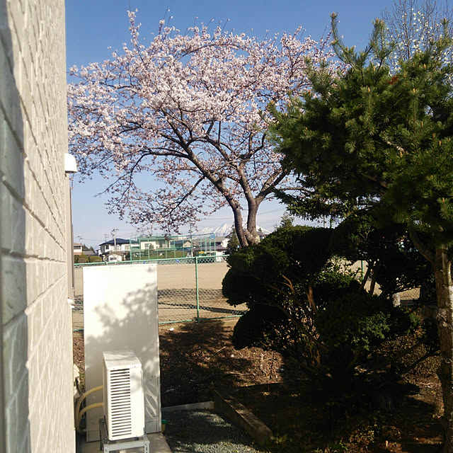 icchiさんの実例写真