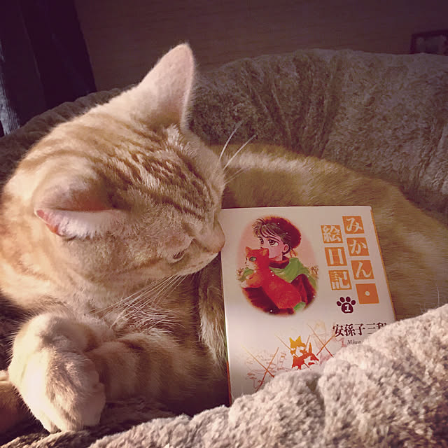 yoshi.Yさんの実例写真