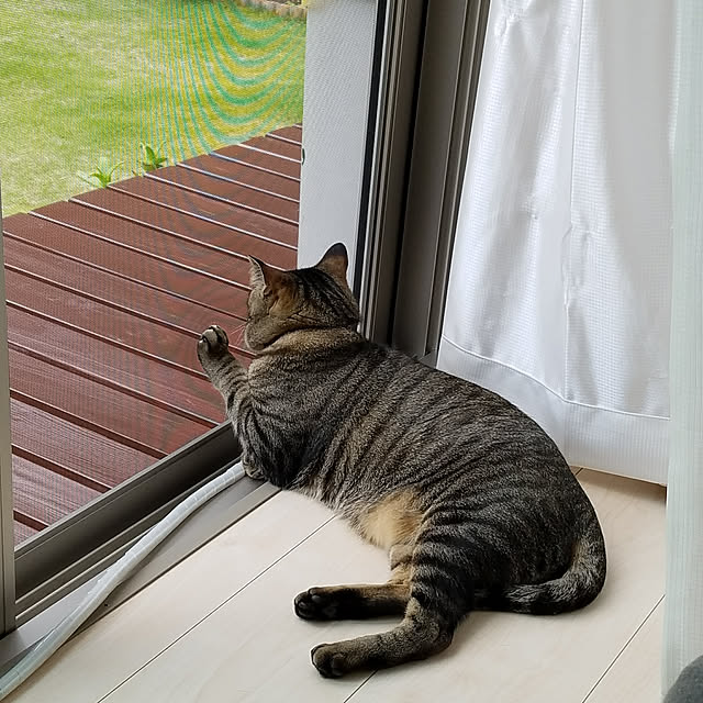t-famさんの実例写真