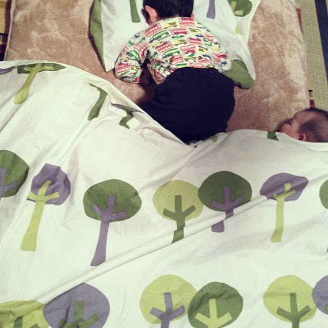 kohaさんの実例写真