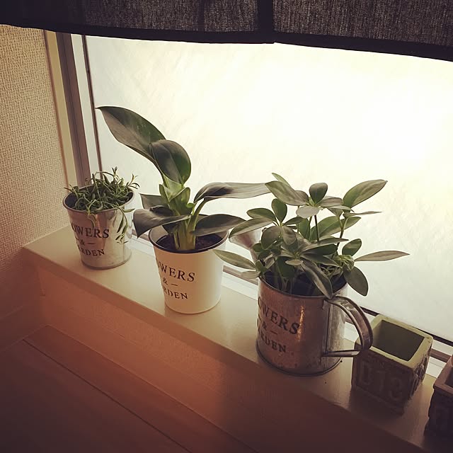 Akkyさんの実例写真