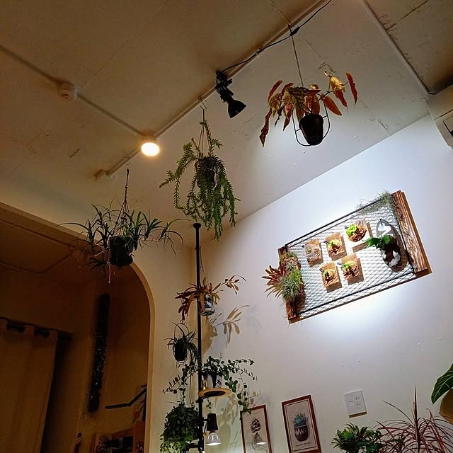 Rさんの部屋