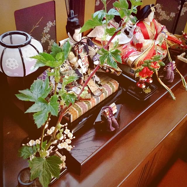 fish.さんの実例写真