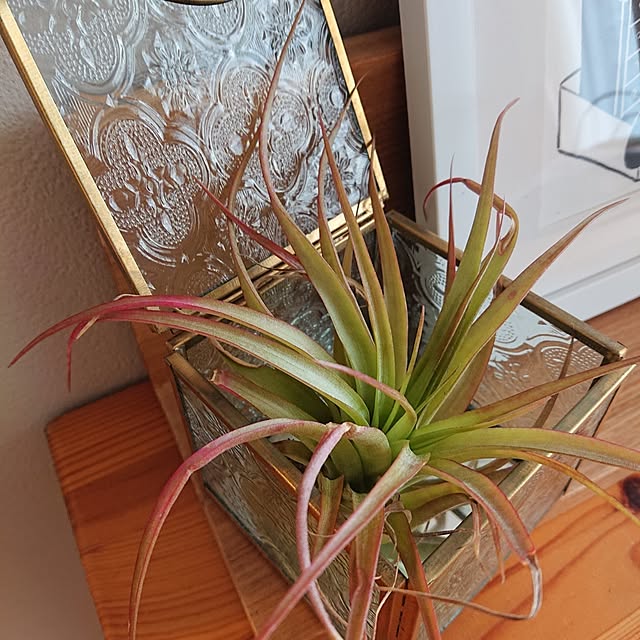otokiさんの部屋